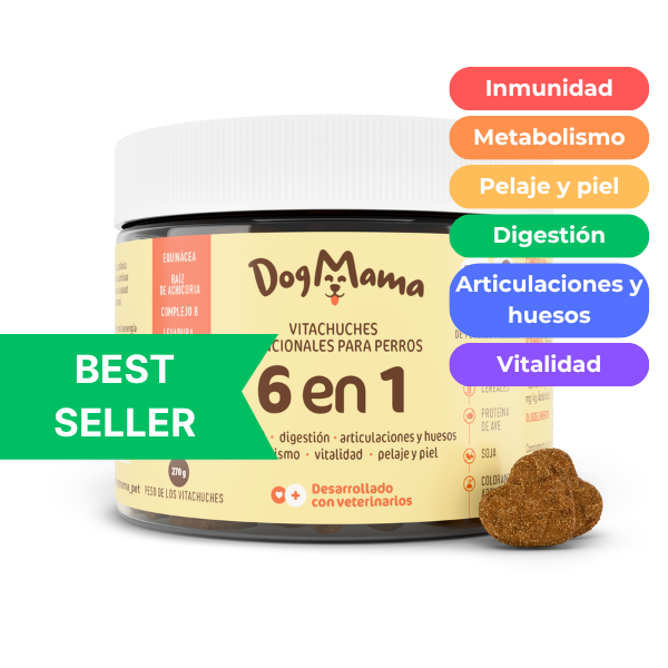 Multifuncional 6 en 1