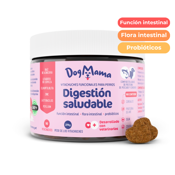 Digestión saludable + Probióticos