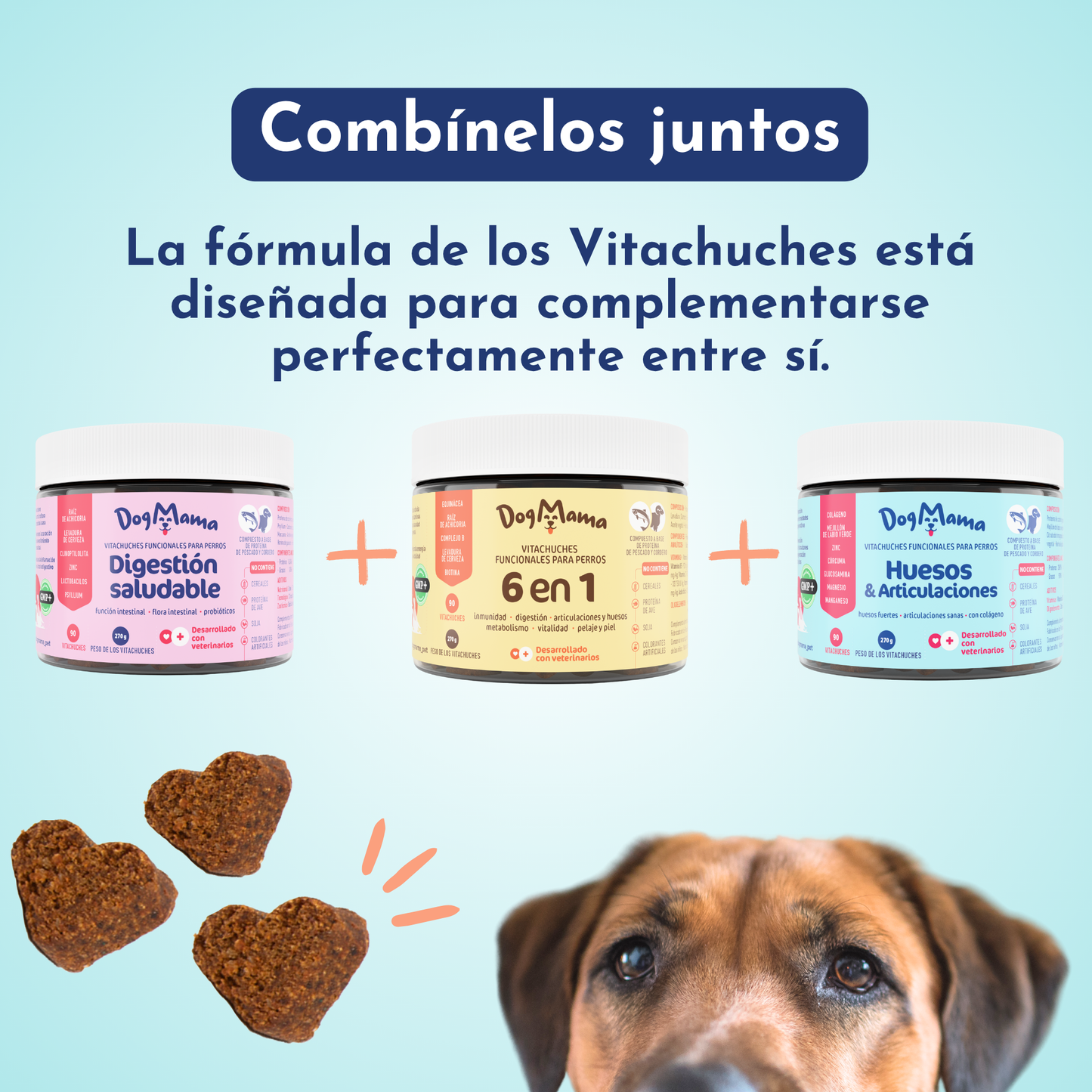 Multifuncional 6 en 1