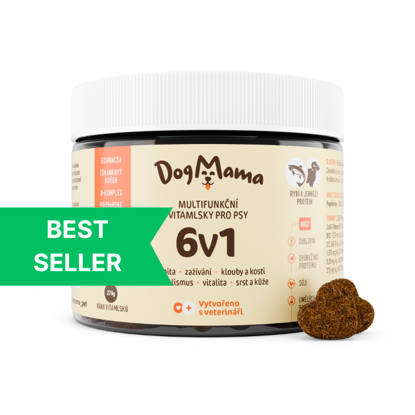 Multifuncional 6 en 1