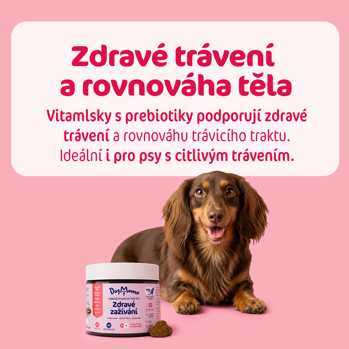 Digestión saludable + Probióticos
