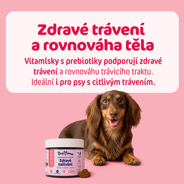 Digestión saludable + Probióticos