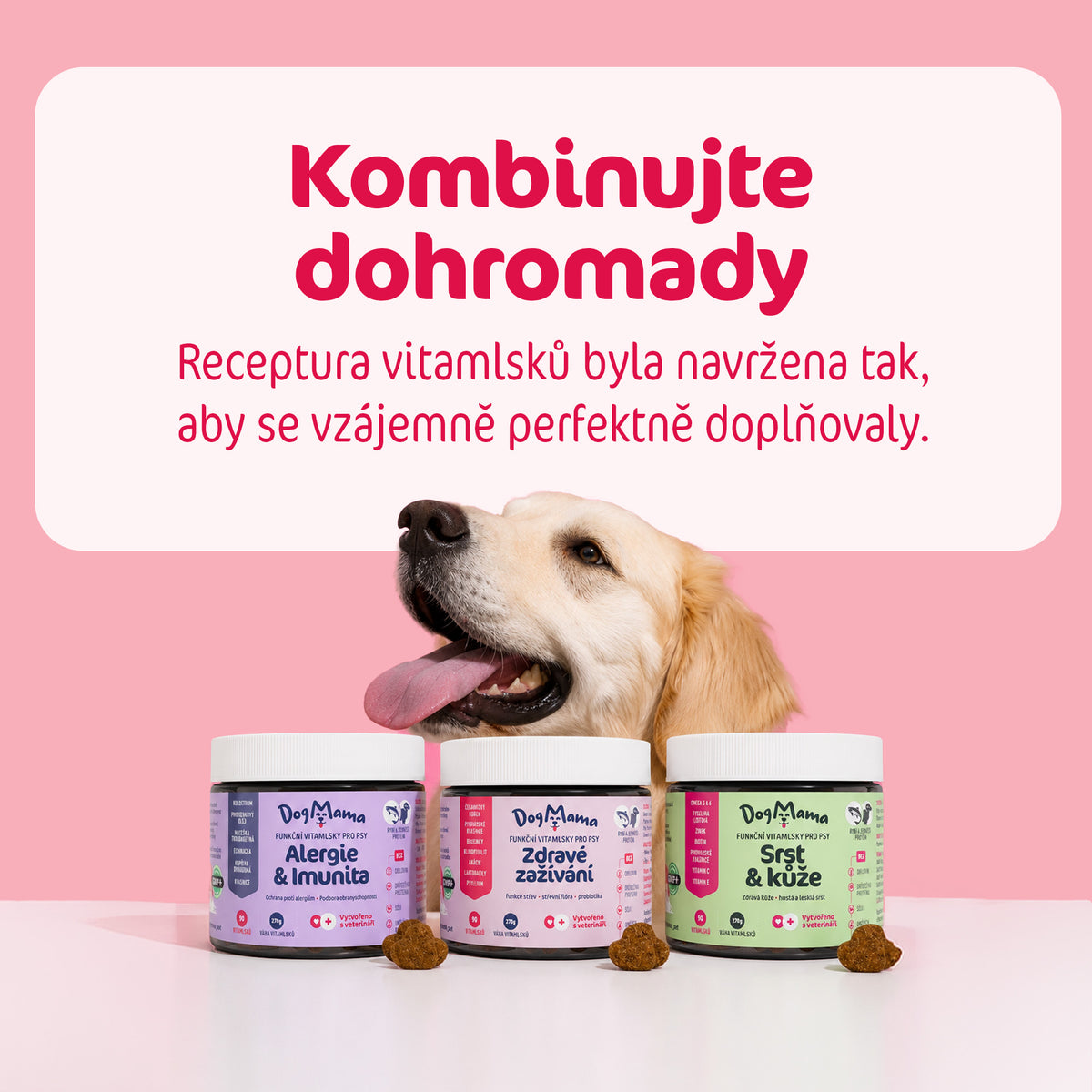 Digestión saludable + Probióticos