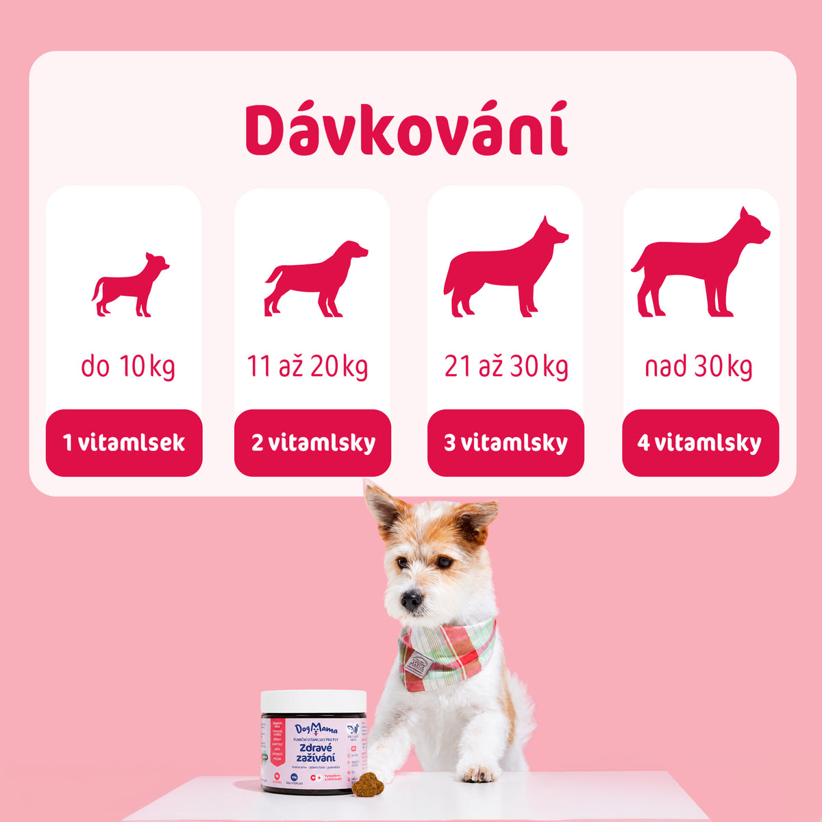 Digestión saludable + Probióticos