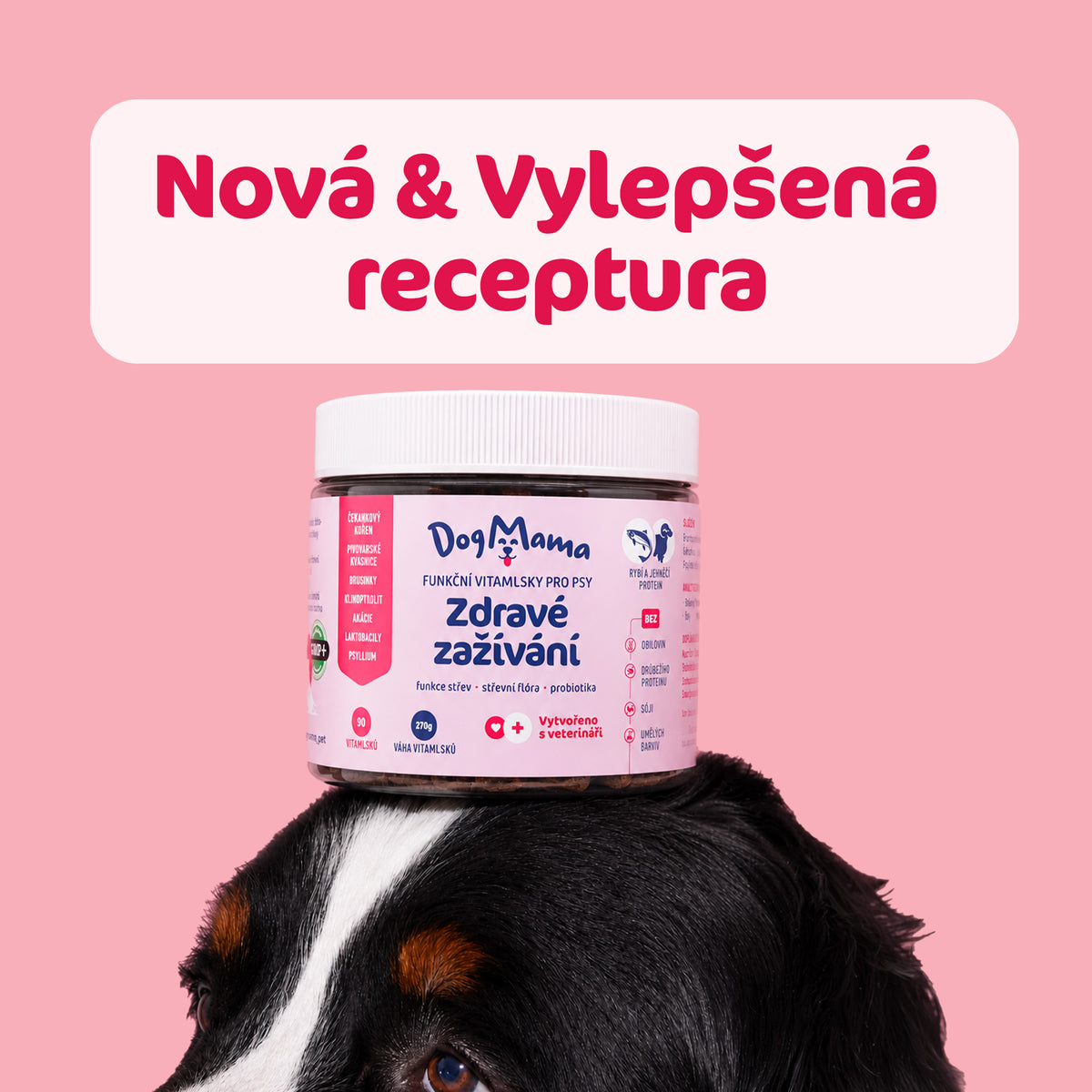 Digestión saludable + Probióticos