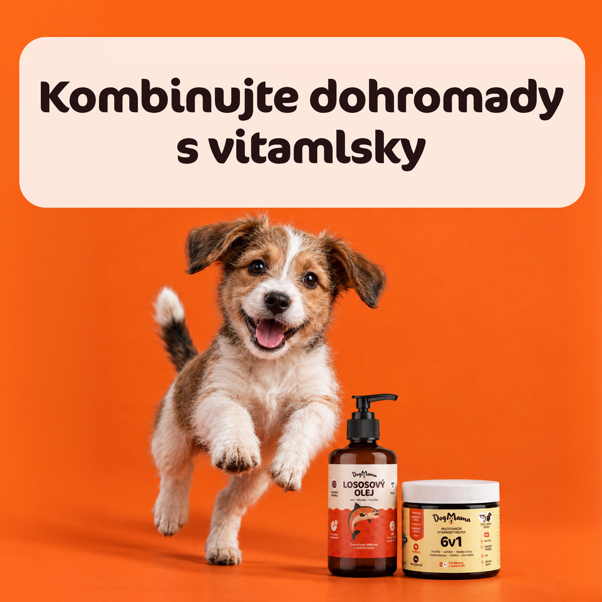 Lososový olej