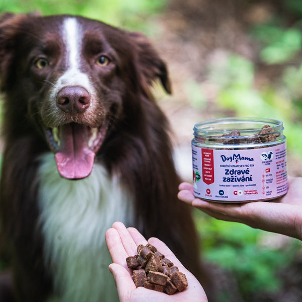 Digestión saludable + Probióticos