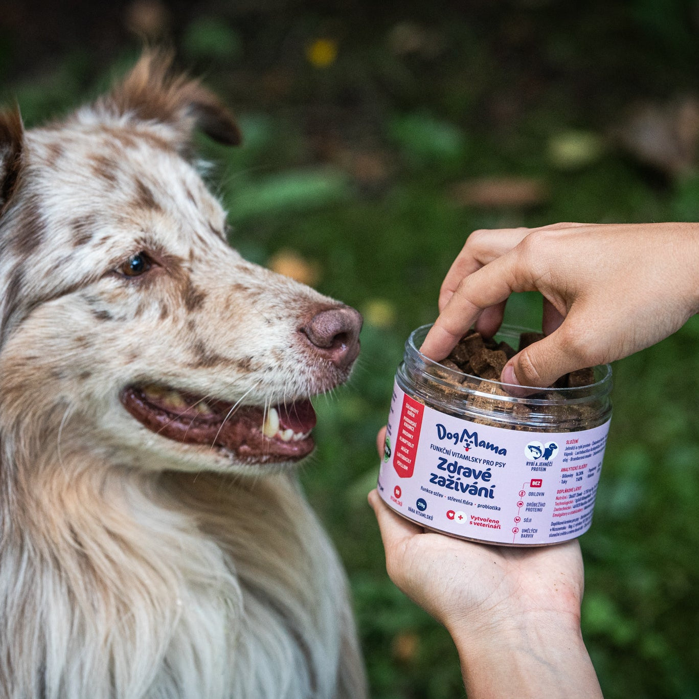 Digestión saludable + Probióticos