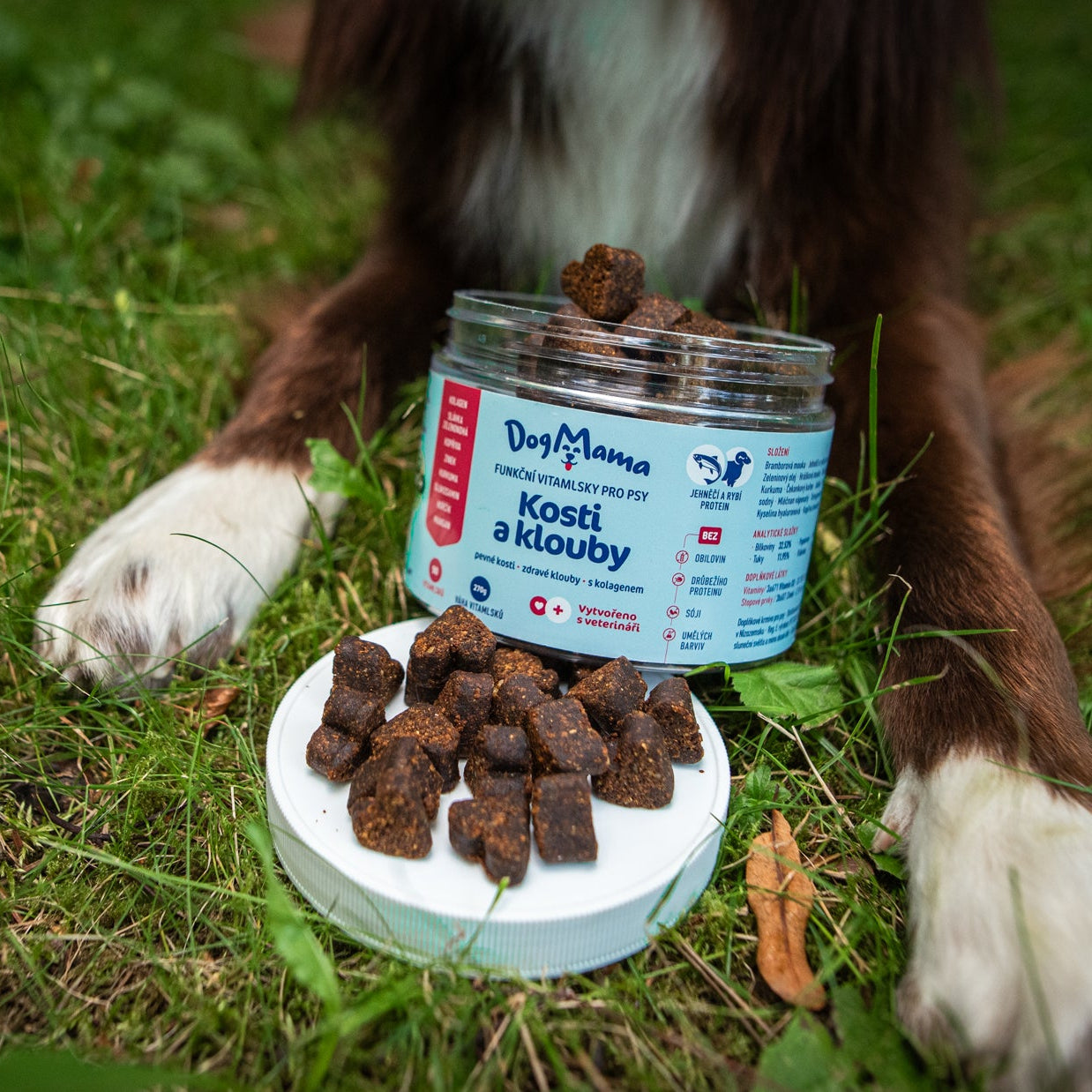 Articulaciones & Huesos + Colágeno