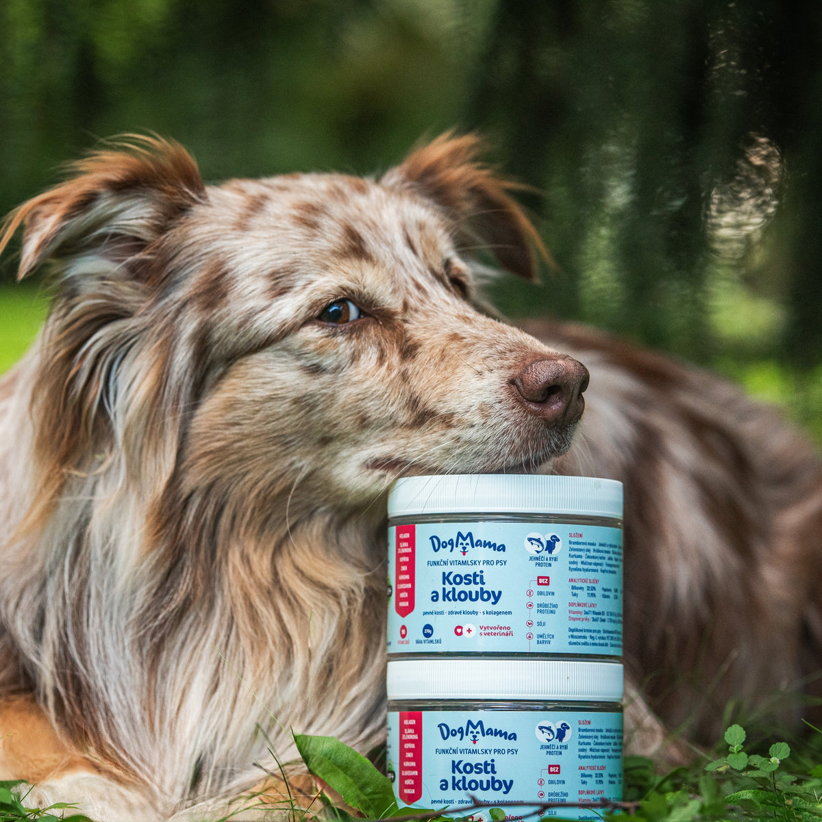 Articulaciones & Huesos + Colágeno