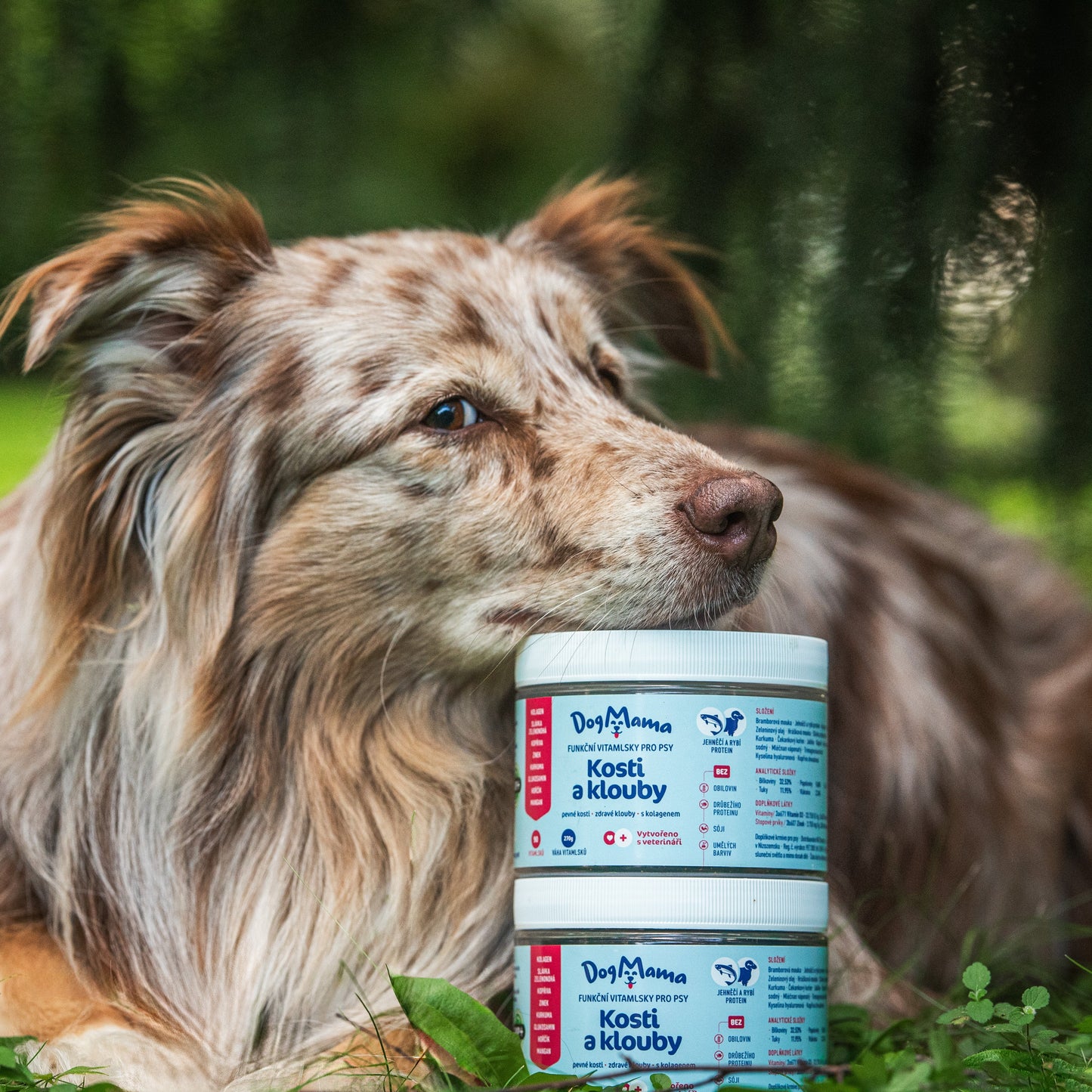 Articulaciones & Huesos + Colágeno