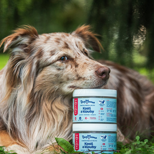 Articulaciones & Huesos + Colágeno