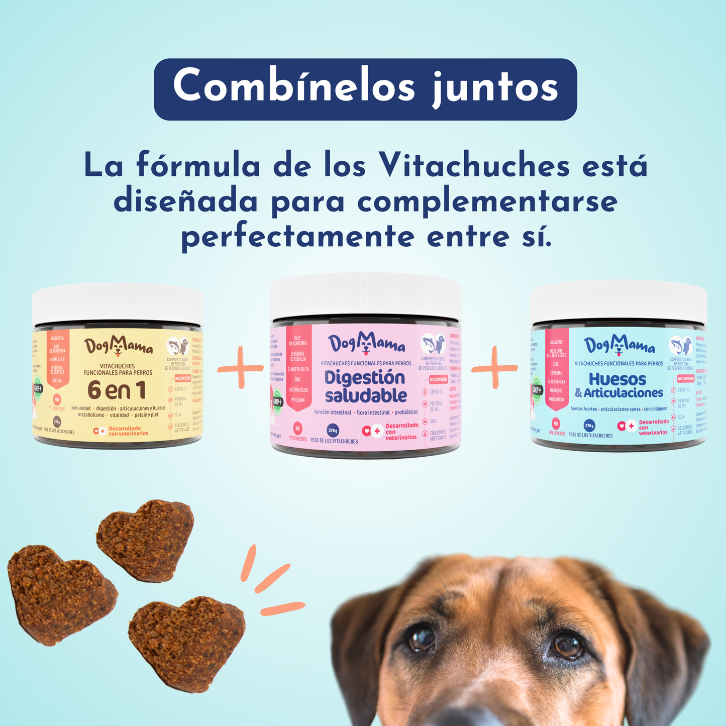 Digestión saludable + Probióticos