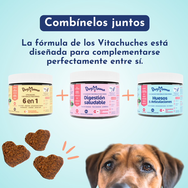 Digestión saludable + Probióticos