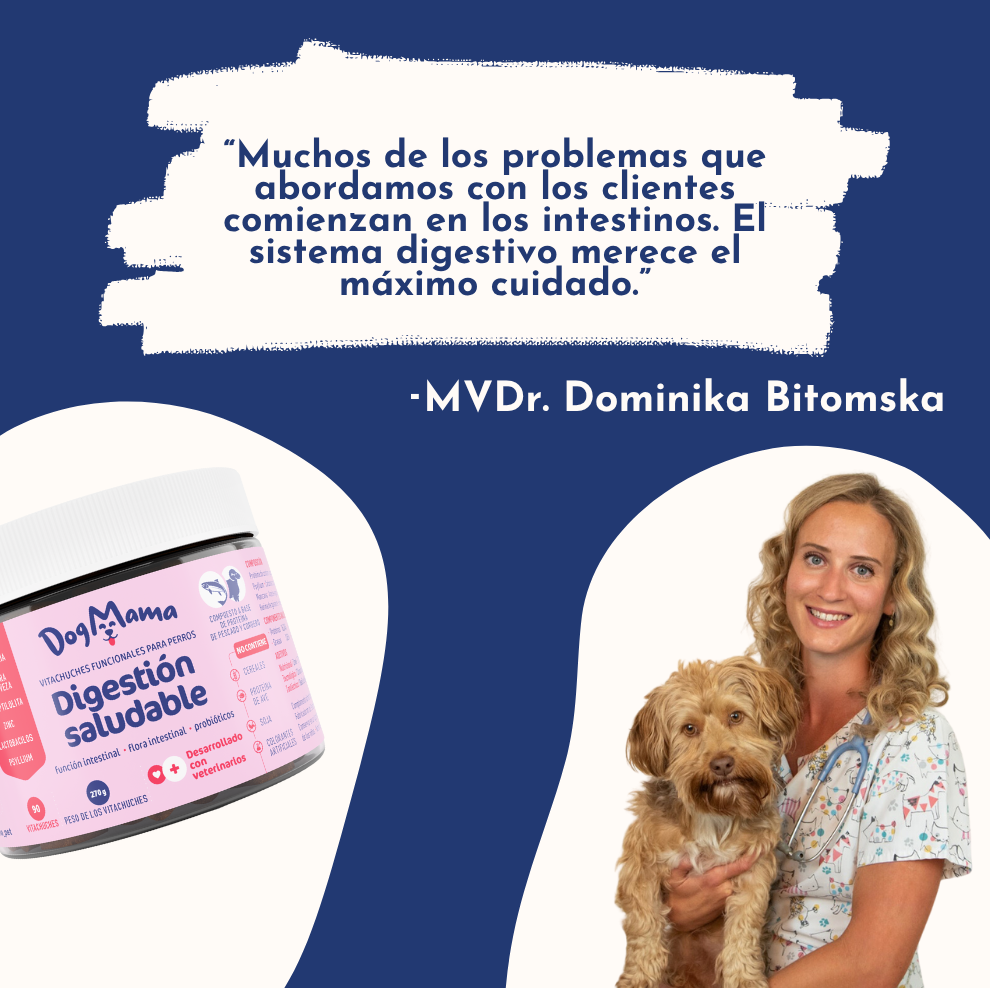 Digestión saludable + Probióticos