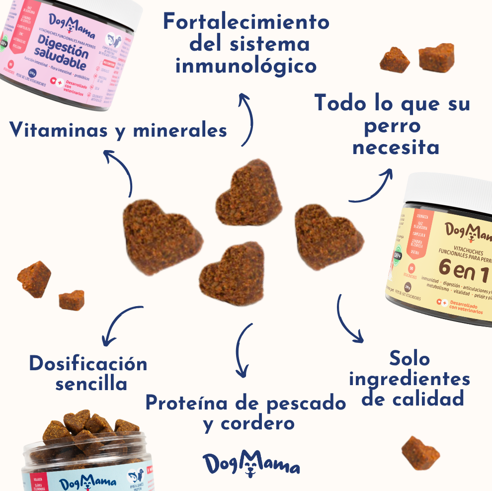 Digestión saludable + Probióticos
