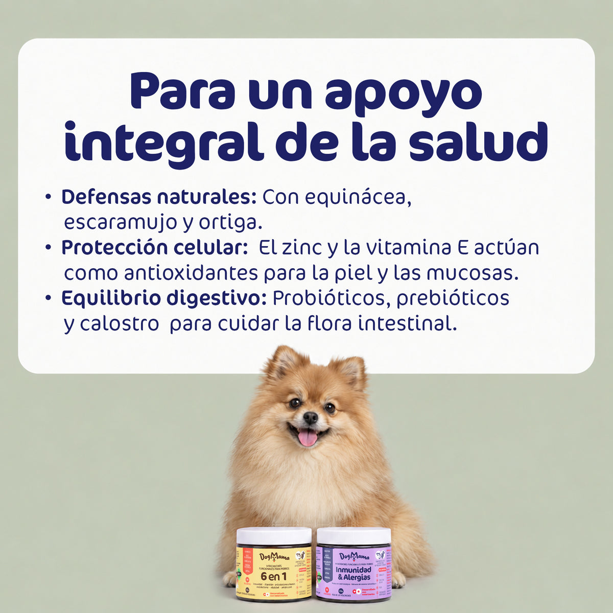 Combo defensas fuertes