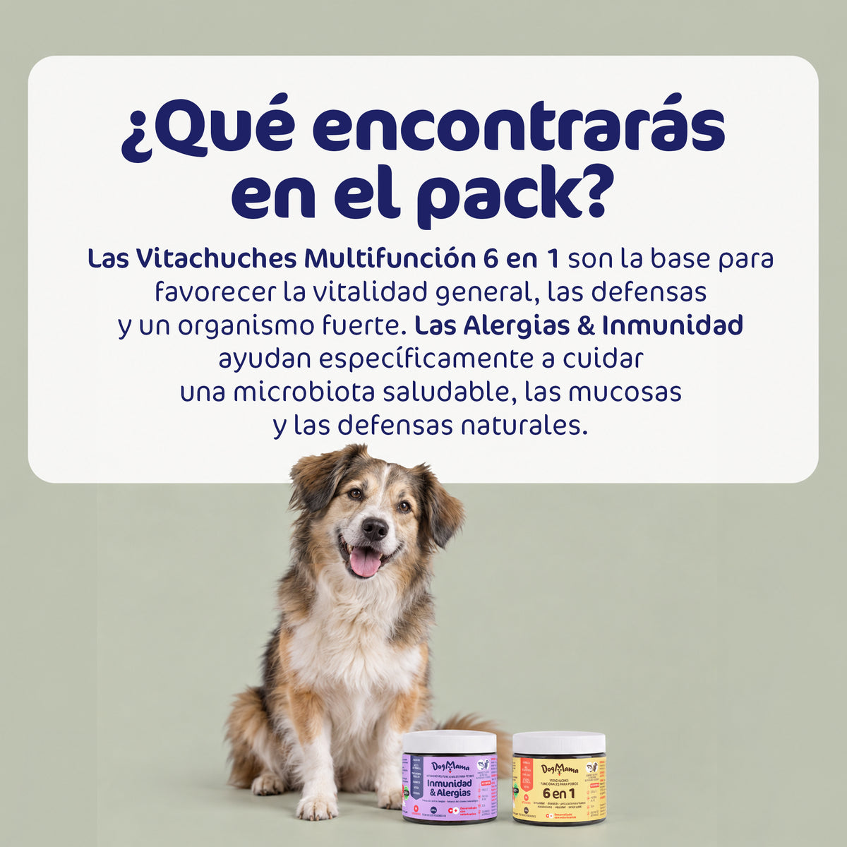 Combo defensas fuertes