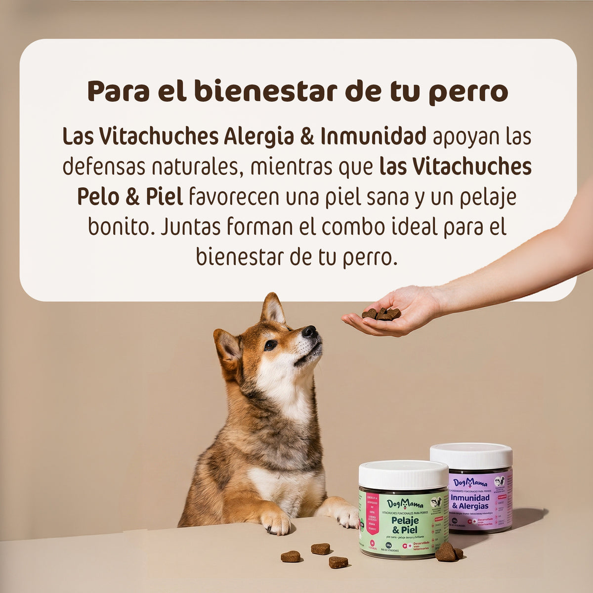 Combo contra el picor y las alergias
