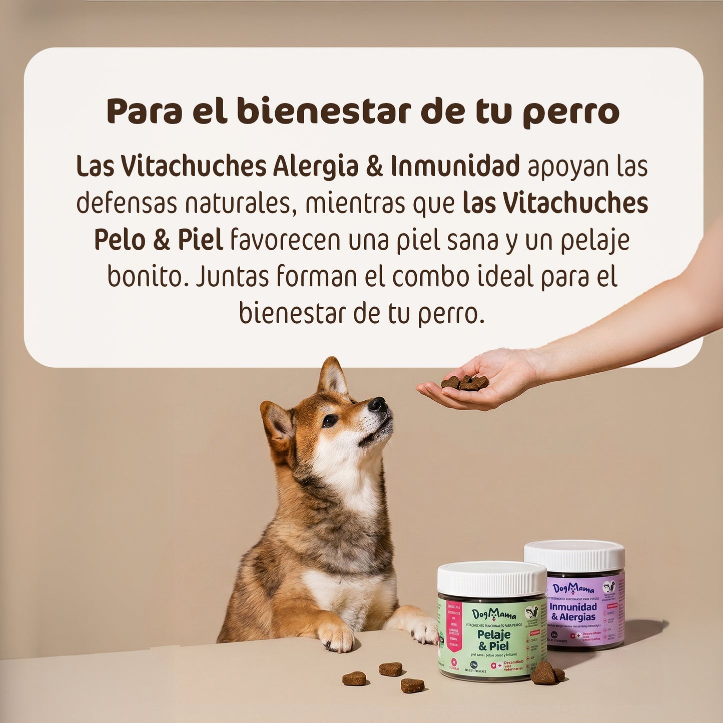 Combo contra el picor y las alergias