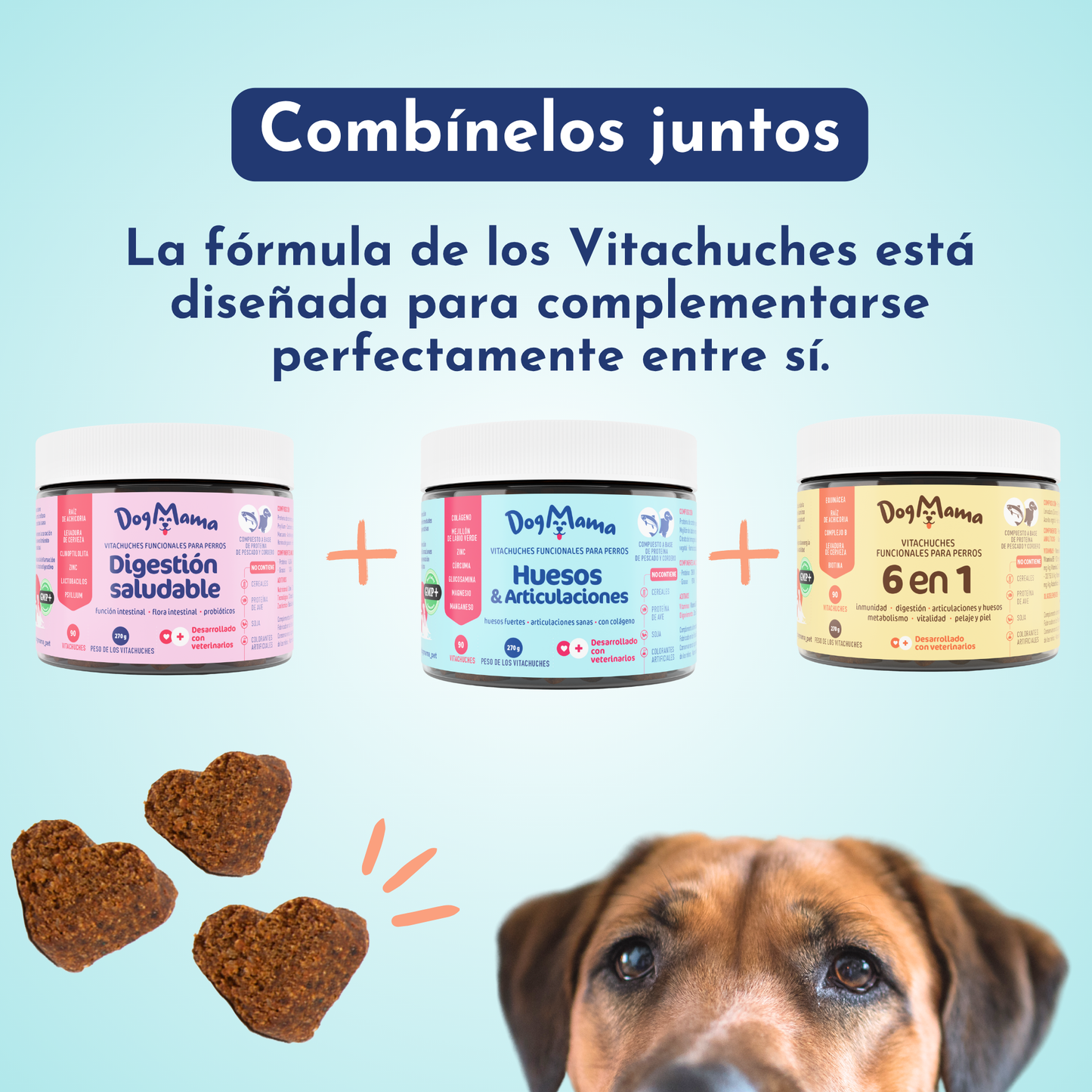 Articulaciones & Huesos + Colágeno