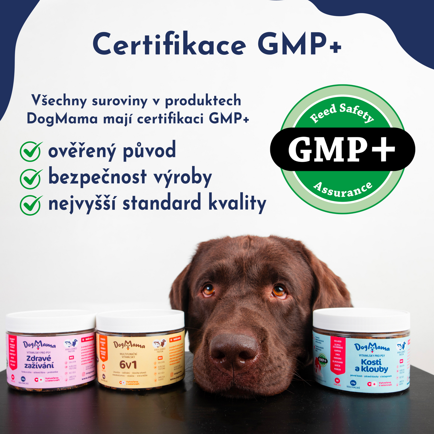 Articulaciones & Huesos + Colágeno