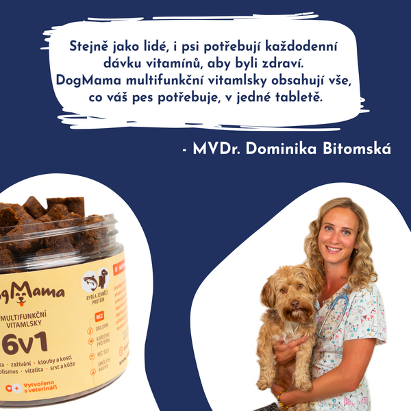 Multifuncional 6 en 1