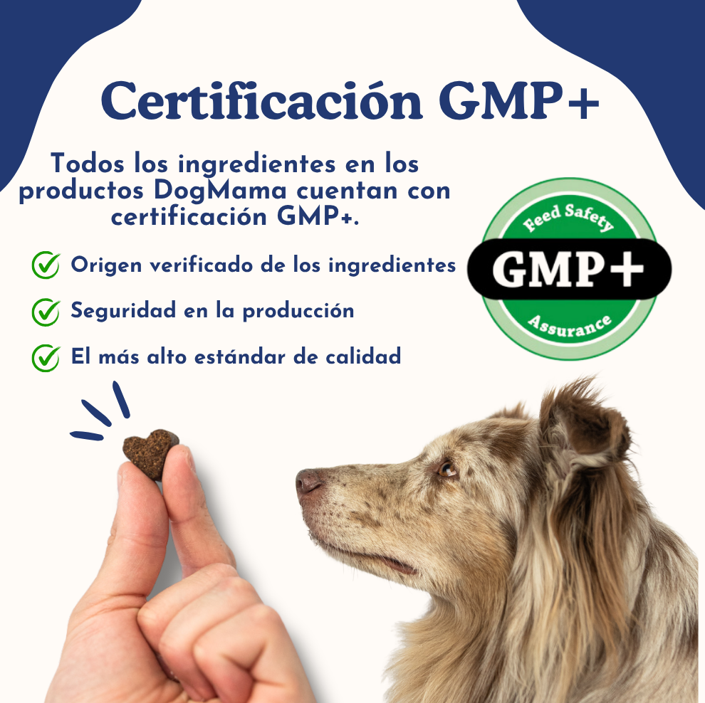 Digestión saludable + Probióticos