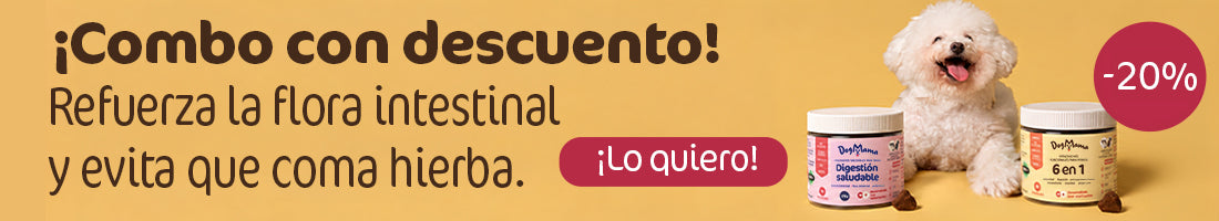 Multi + Digestión Banner ES