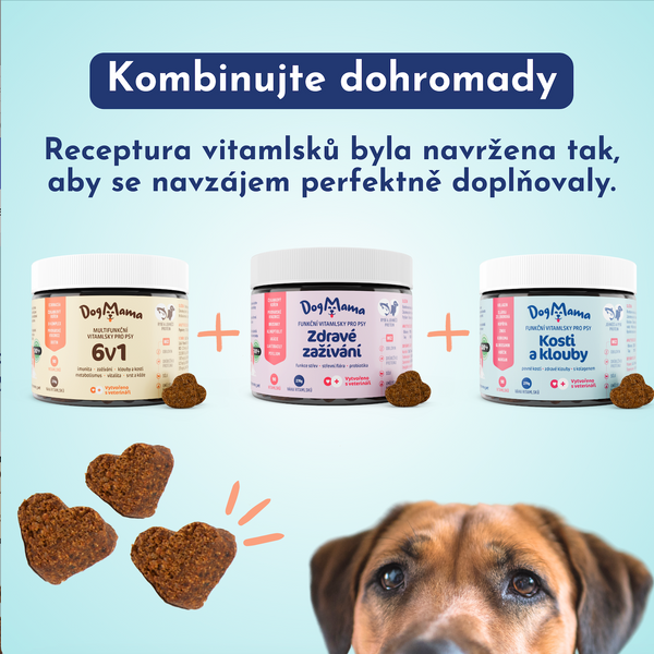 Multifuncional 6 en 1